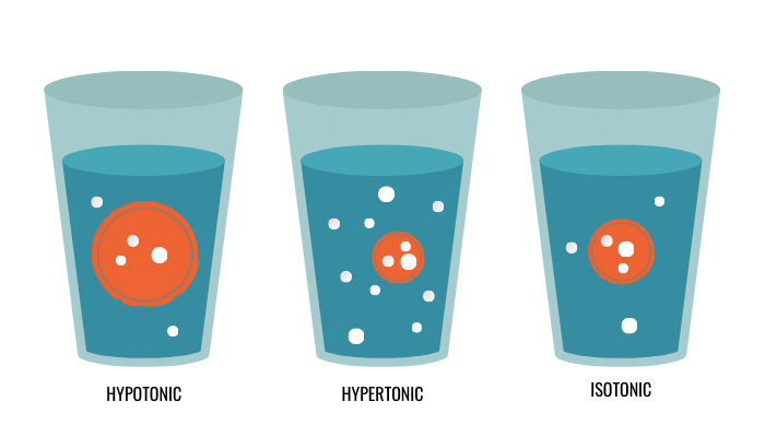 hypoton-isoton-hyperton